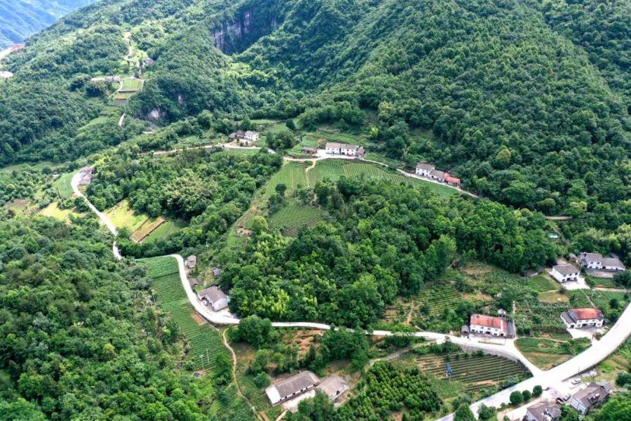 转山品茶 “茶马古道”走出新路