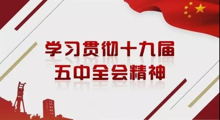 冰球突破-冰球电游豪华版_MG冰球游戏新能源党委专题学习研讨党的十九届五中全会精神